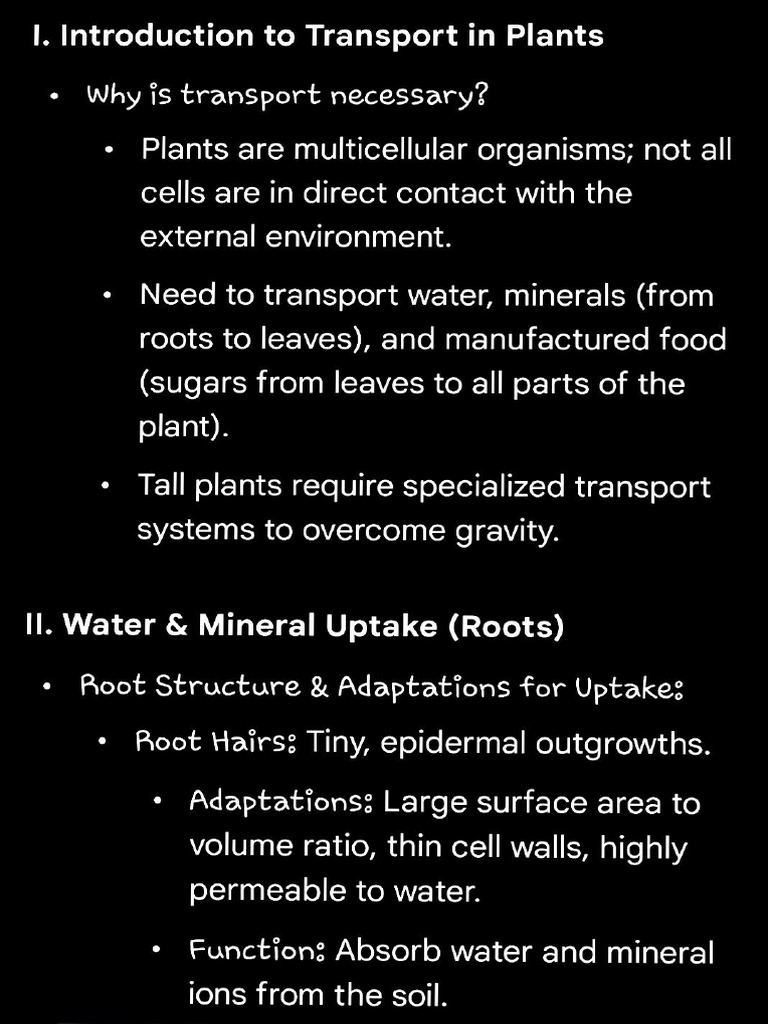 Study Sheel Bio 1 | PDF
