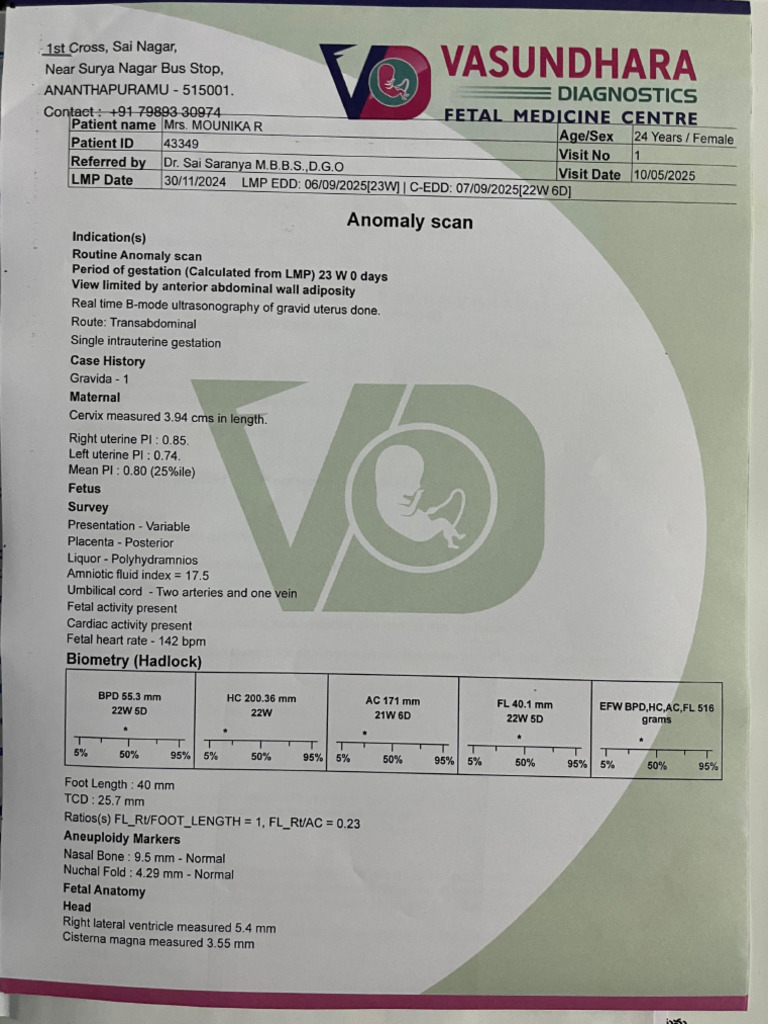 23-Week Anomaly Scan Report | PDF | Fetus | Medical Ultrasound