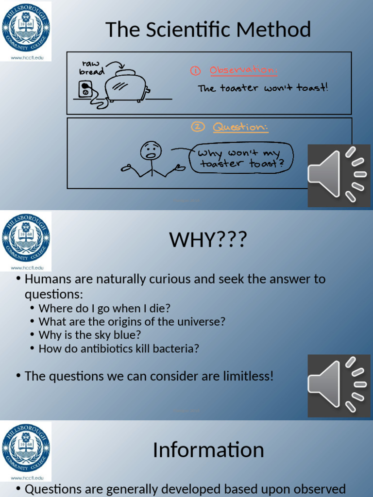 Understanding the Scientific Method | PDF | Scientific Method | Experiment