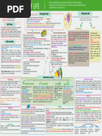 Mind Map of Cell: The Unit of Life | PDF | Cell (Biology) | Cell Membrane
