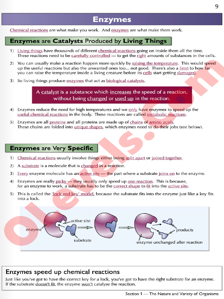 430d5e10 Revision Notes 1 The Nature and Variety of Organismsp7andp8 | PDF