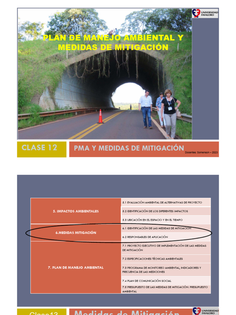 Medidas de Mitigación Ambiental PMA | PDF | Entorno natural ...