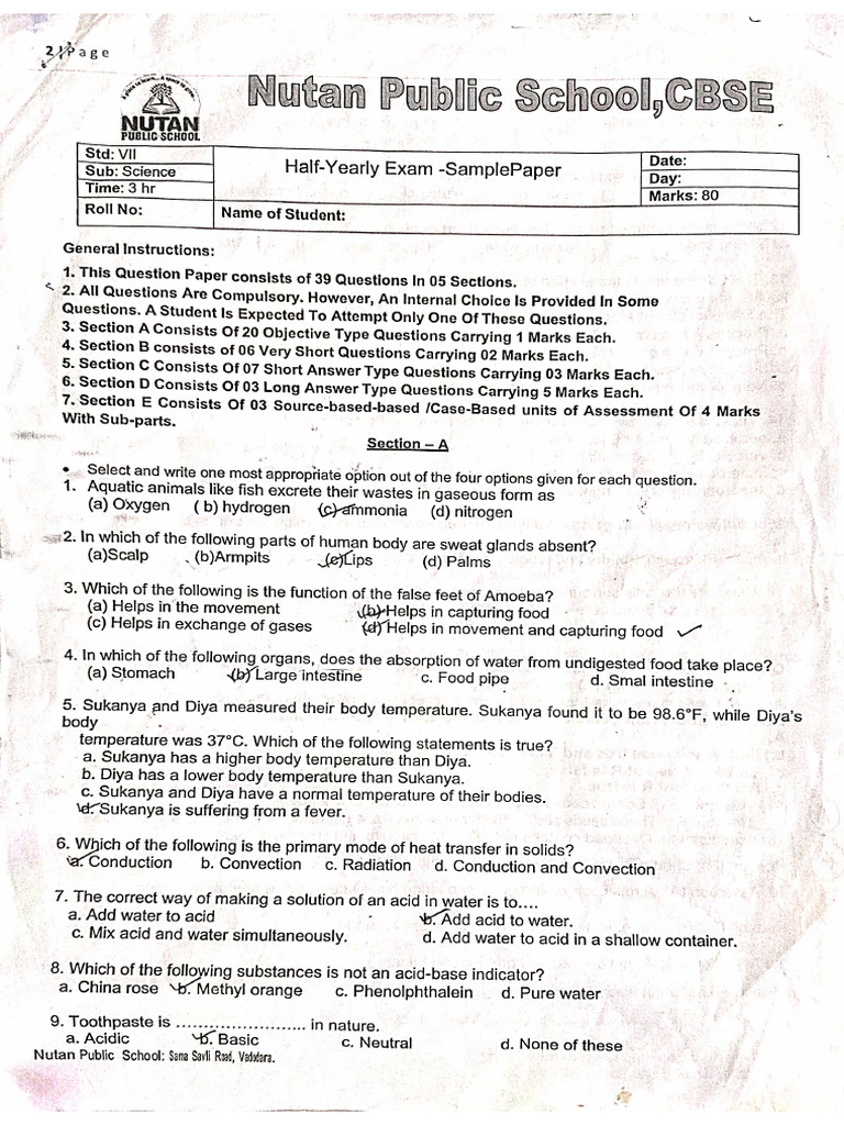 CBSE Sample Paper | PDF