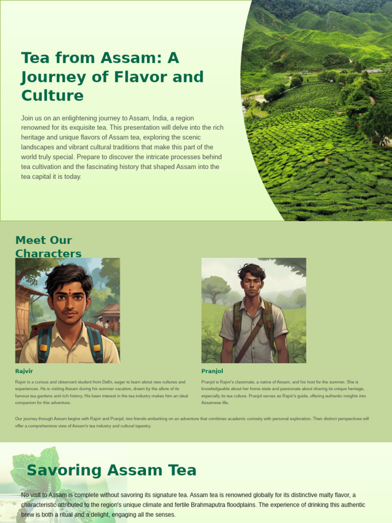 Assam Tea: History and Culture | PDF | Tea