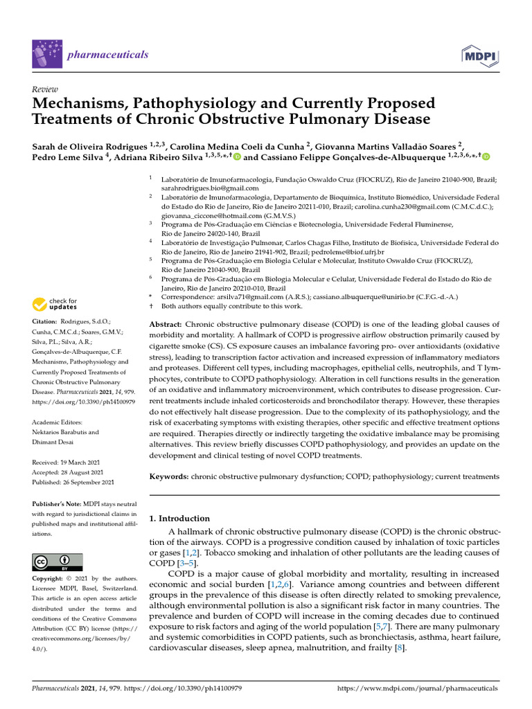 COPD: Mechanisms and Treatments Overview | PDF | Chronic Obstructive ...