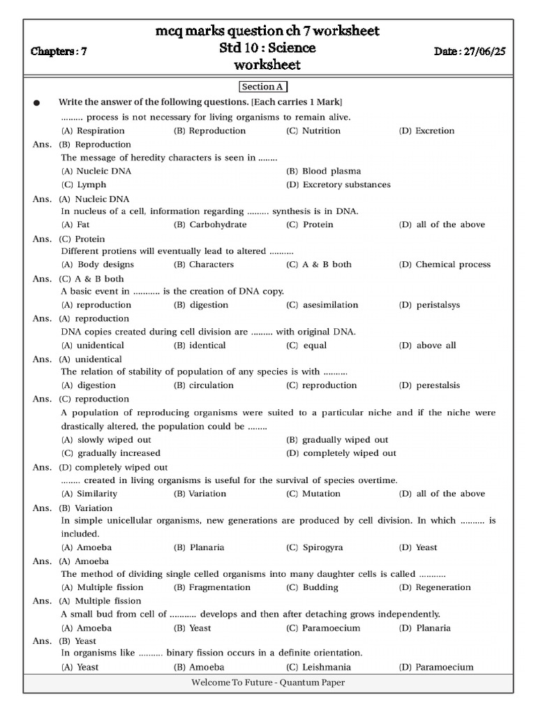 Worksheet D27 Jun 2025 | PDF
