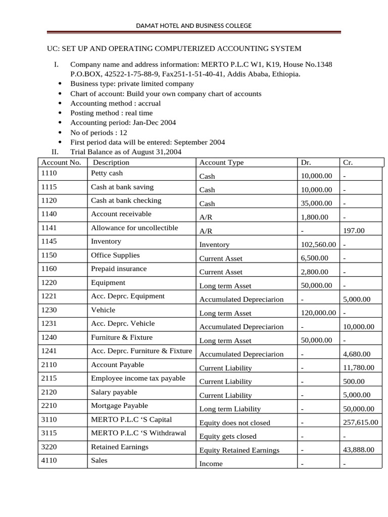Computerized Accounting Setup for Merto P.L.C | PDF | Expense ...