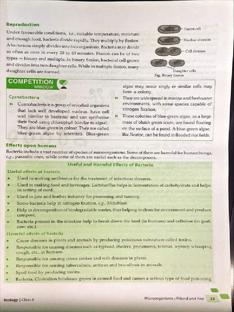 Bio Class 8 IMP-18 | PDF