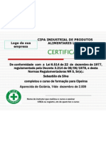 Certificado Do Curso de Cipa 2008 (1)