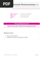 Dossier Professionnel : Guide Complet | PDF