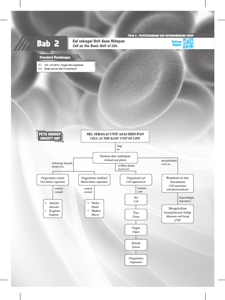 Bab 2 Sel Sebagai Unit Asas Hidupan | PDF