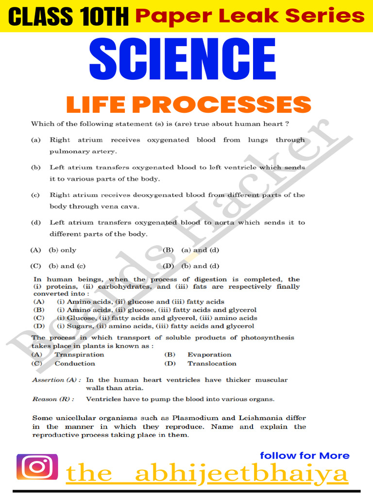 Class 10 Life Processes Guide | PDF