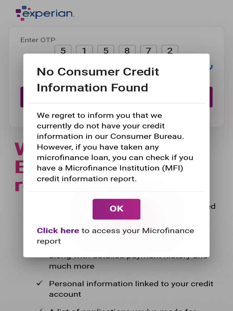 Experian Credit Report Overview | PDF