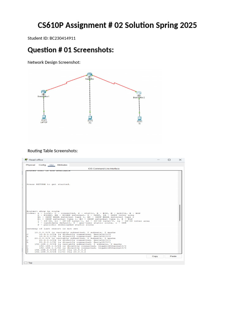 CS610P Assignment (Bc230414911) | PDF