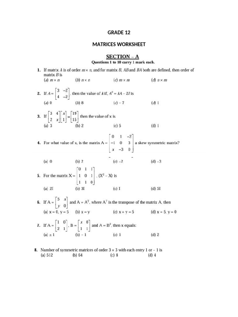 Grade 12 Matrix Worksheet | PDF