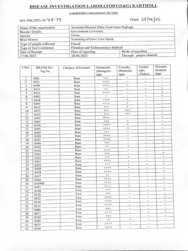 Rajbagh Report 2 | PDF