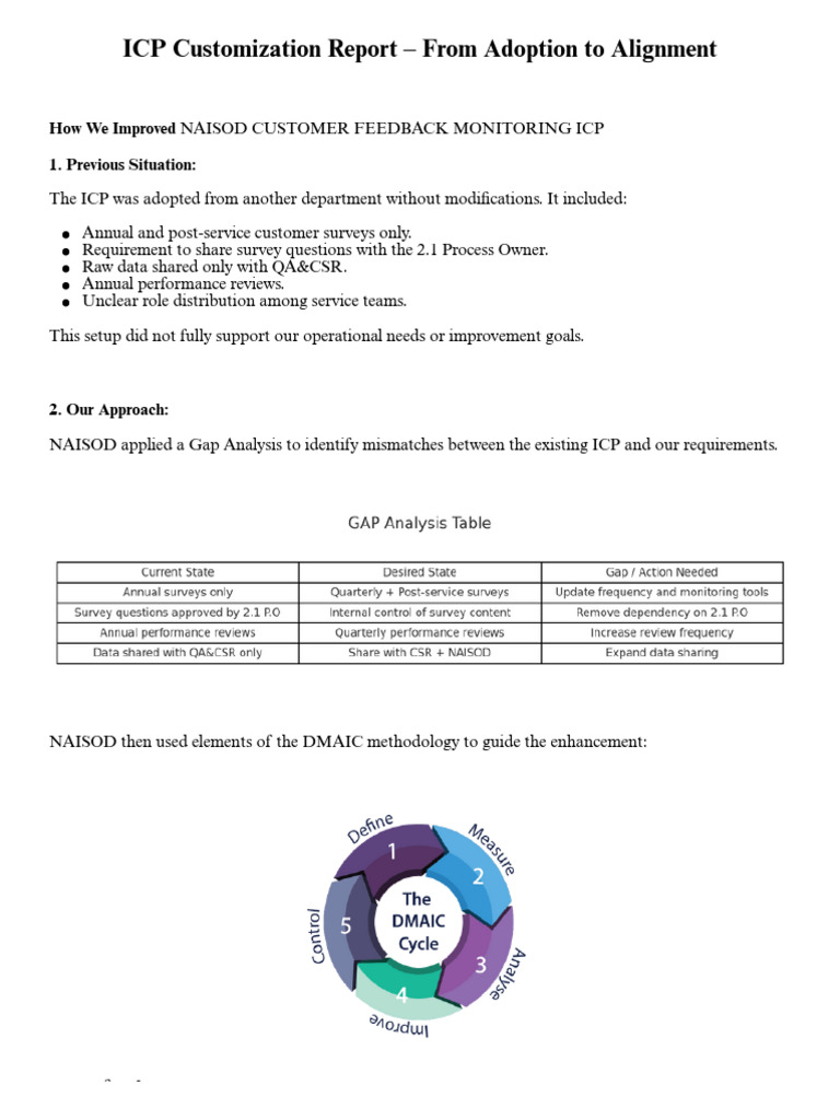 ICP Customization Report | PDF