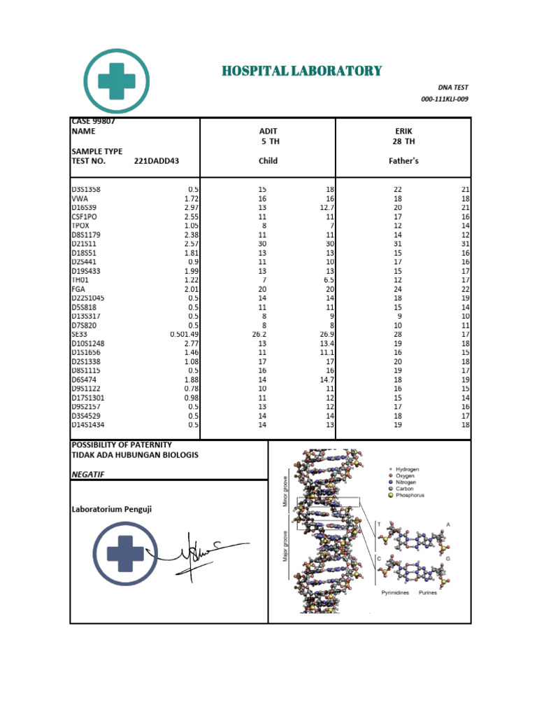 DNA Paternity Test Results Summary | PDF | Adulthood | Biology
