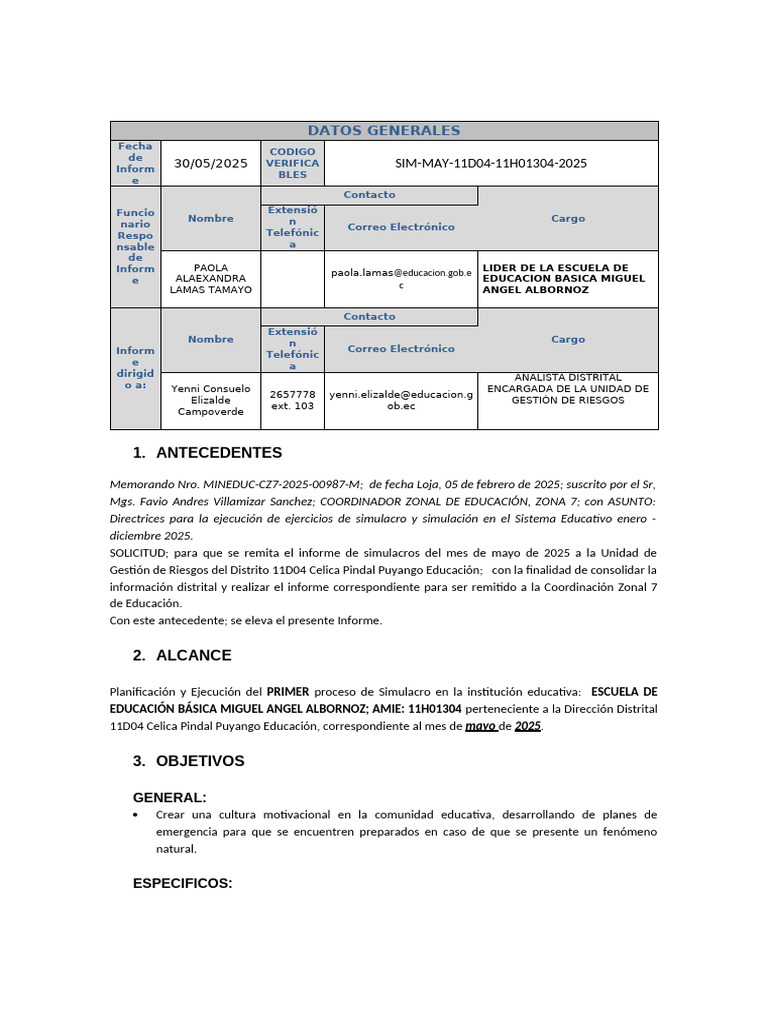 Formato Informe Sim 2025 | PDF