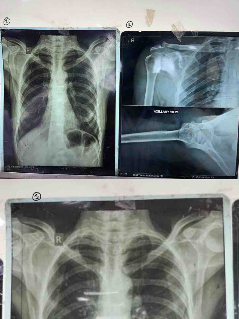 Anatomy Radiology | PDF