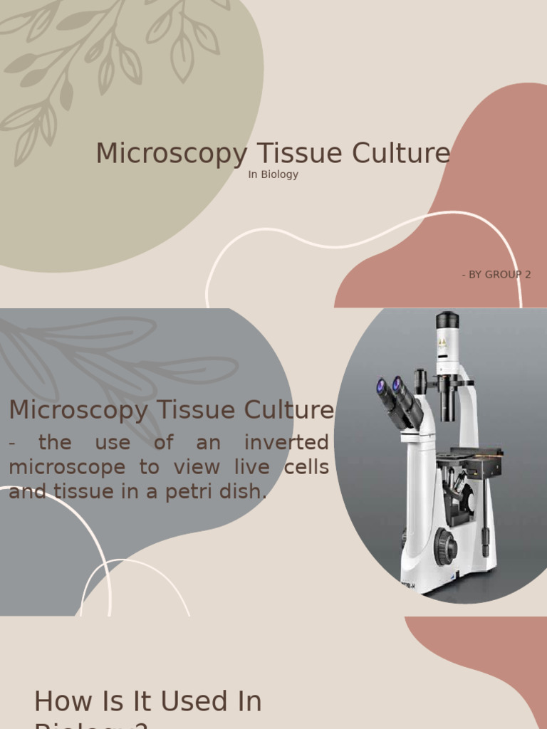 Microscopy Tissue Culture | PDF