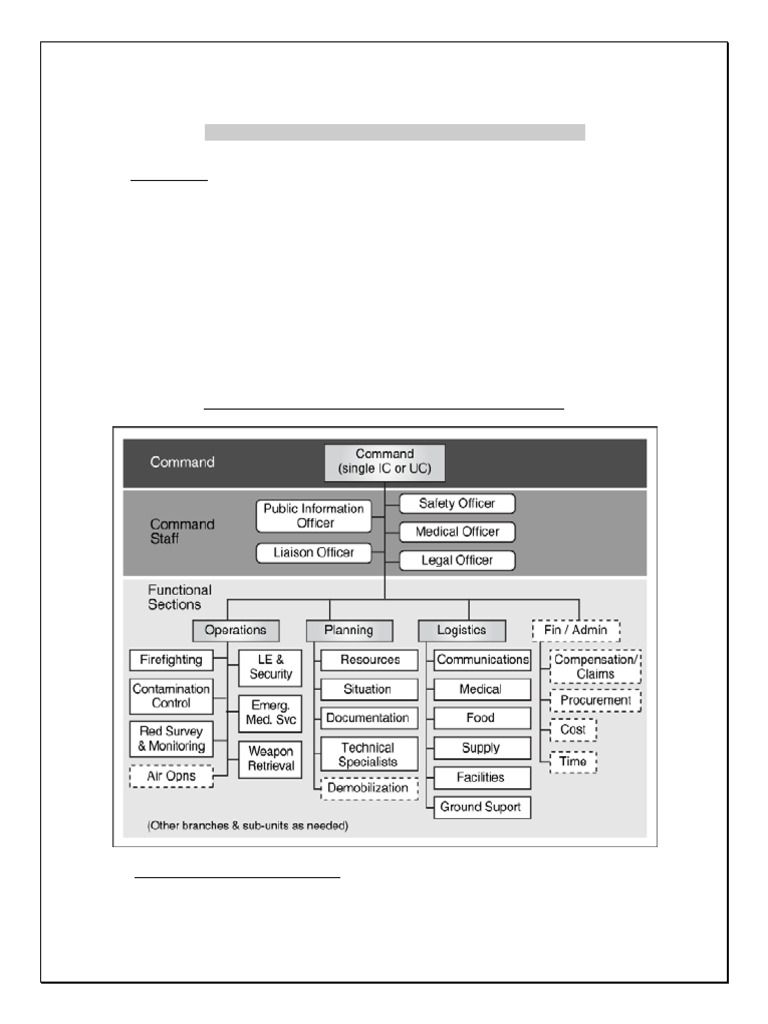 ICS Functional Appendix - 042709 | PDF | Incident Command System ...