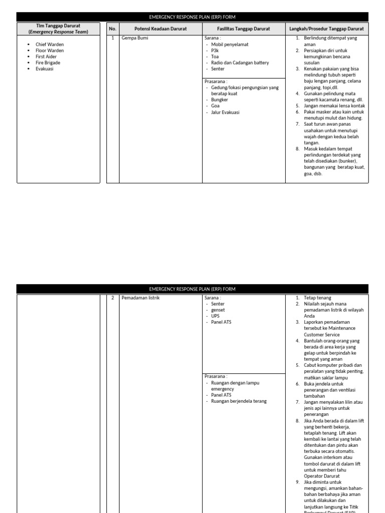 Form ERP | PDF