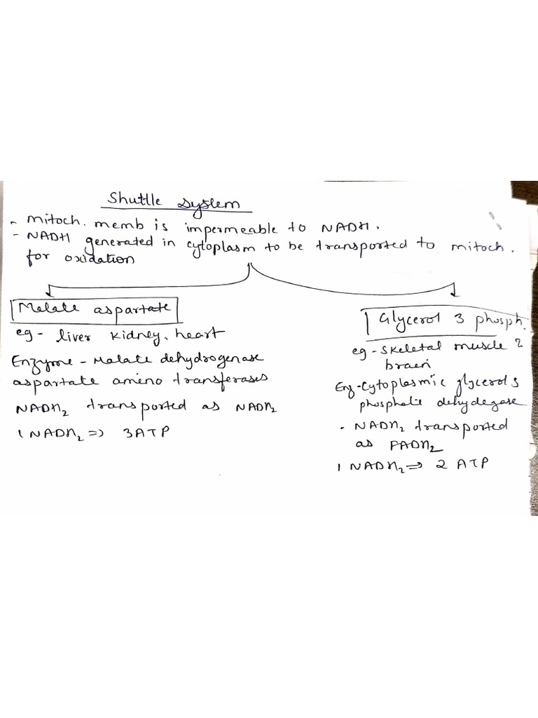 Shuttle System | PDF