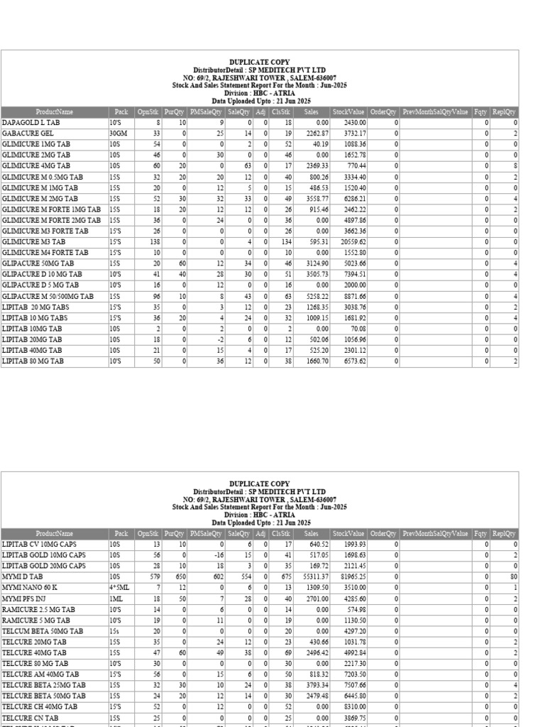 statement-report-pdf