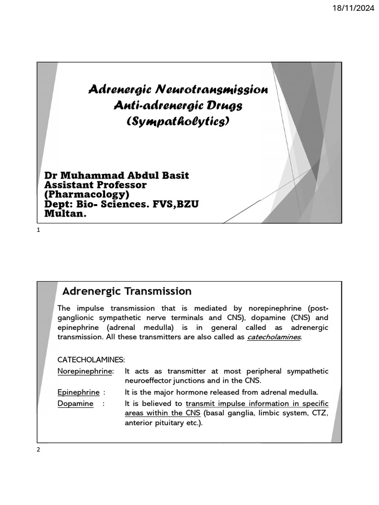 Adrenergic and Anti Adrenergic Drugs Final-1 | PDF | Norepinephrine ...