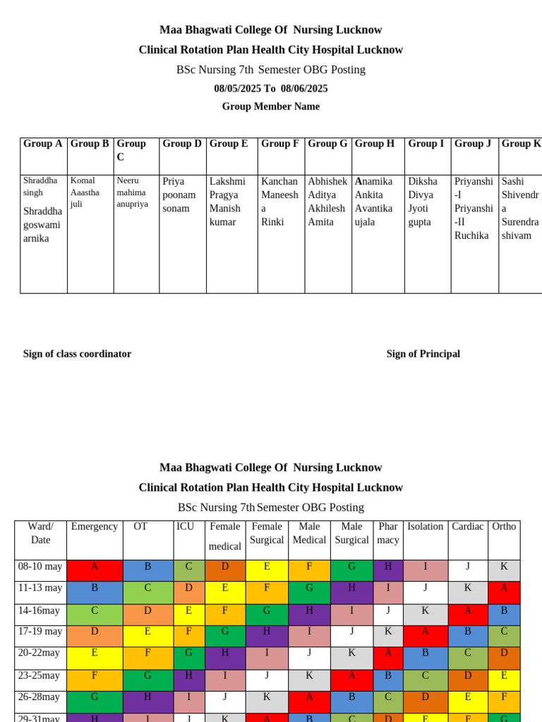 BSc Nursing 7th Semester Rotation Plan | PDF