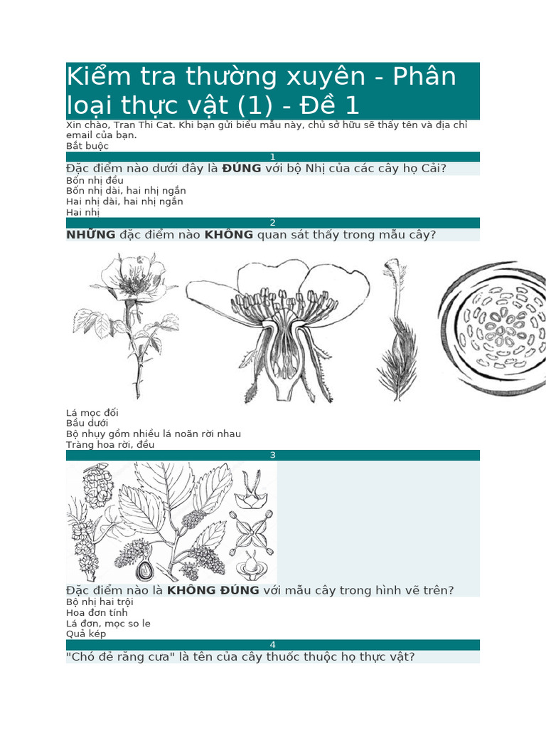 Tvat KKTX | PDF