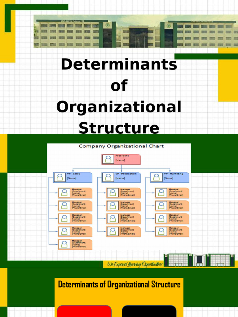 Organizational Structure | PDF