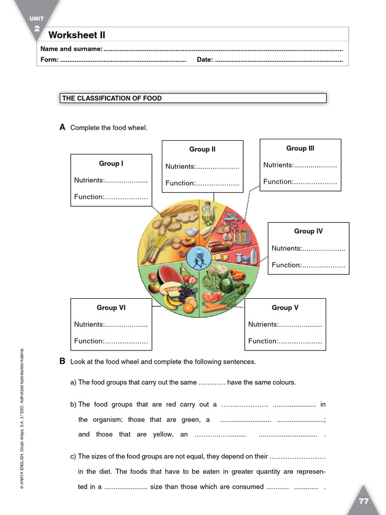 Food Group Wheel Activity Guide | PDF
