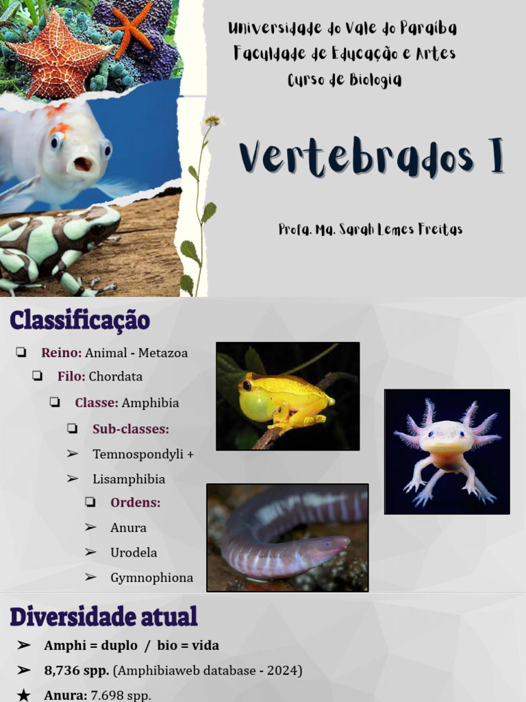Amphibia | PDF | Sapo | Anfíbio