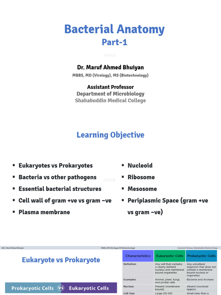 L2 Bacterial Anatomy Part-1 | PDF | Ribosome | Bacteria