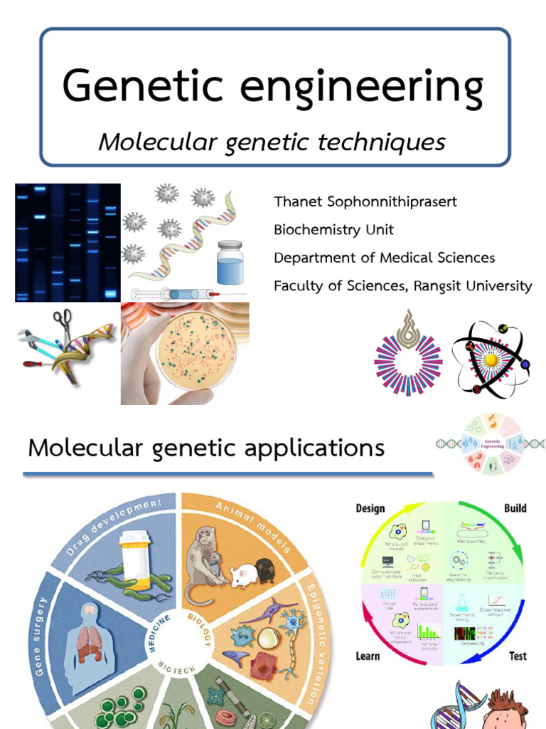 Genetic Engineering Techniques and Applications | PDF | Molecular ...