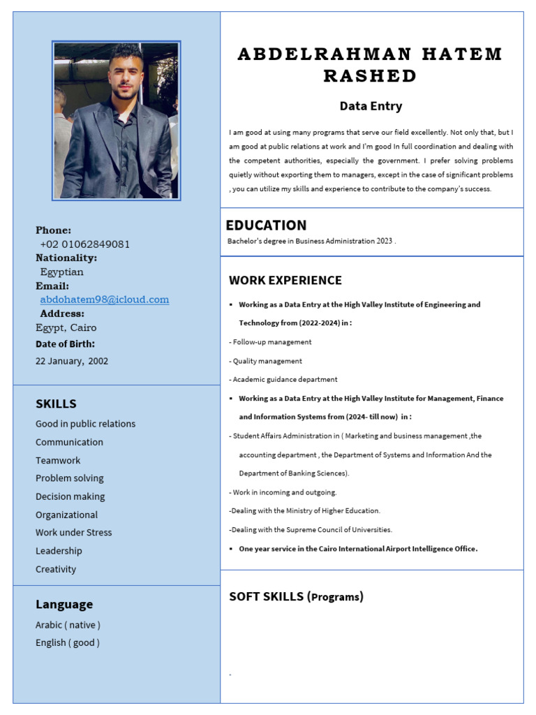 Abdelrahman Rashed: Data Entry Profile | PDF