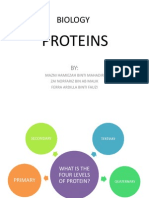 Proteins: The Four Levels