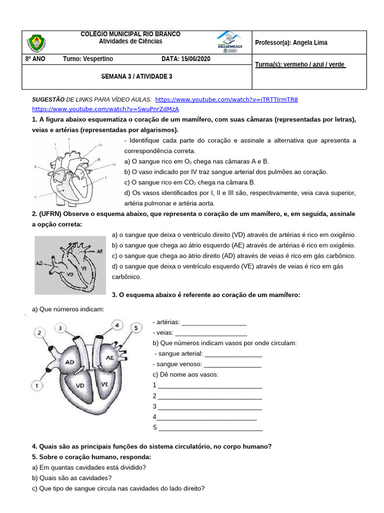 Exercícios sobre o Coração e Circulação | PDF | Coração | Sistema ...