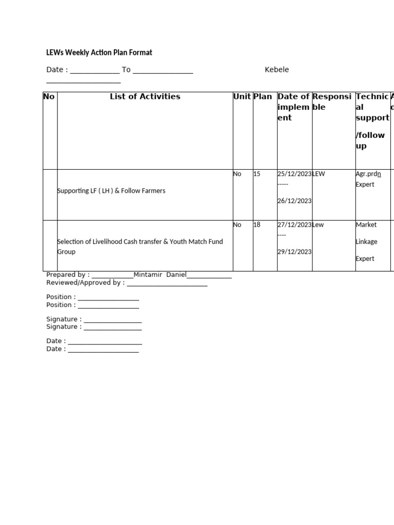Kocher's Weekly Action Plan 1 | PDF