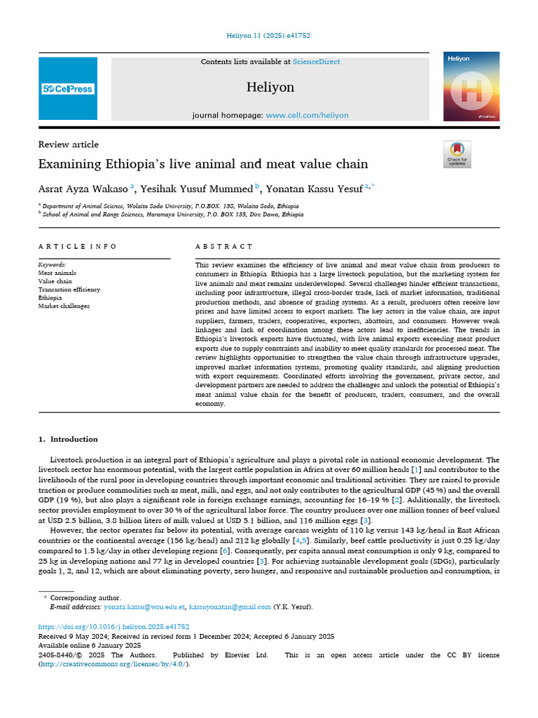 Ethiopia's Meat Value Chain Analysis | PDF | Market (Economics) | Ethiopia