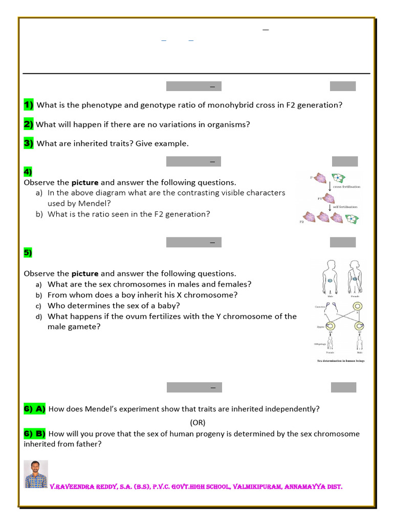 Heredity and Evolution Assessment Paper | PDF