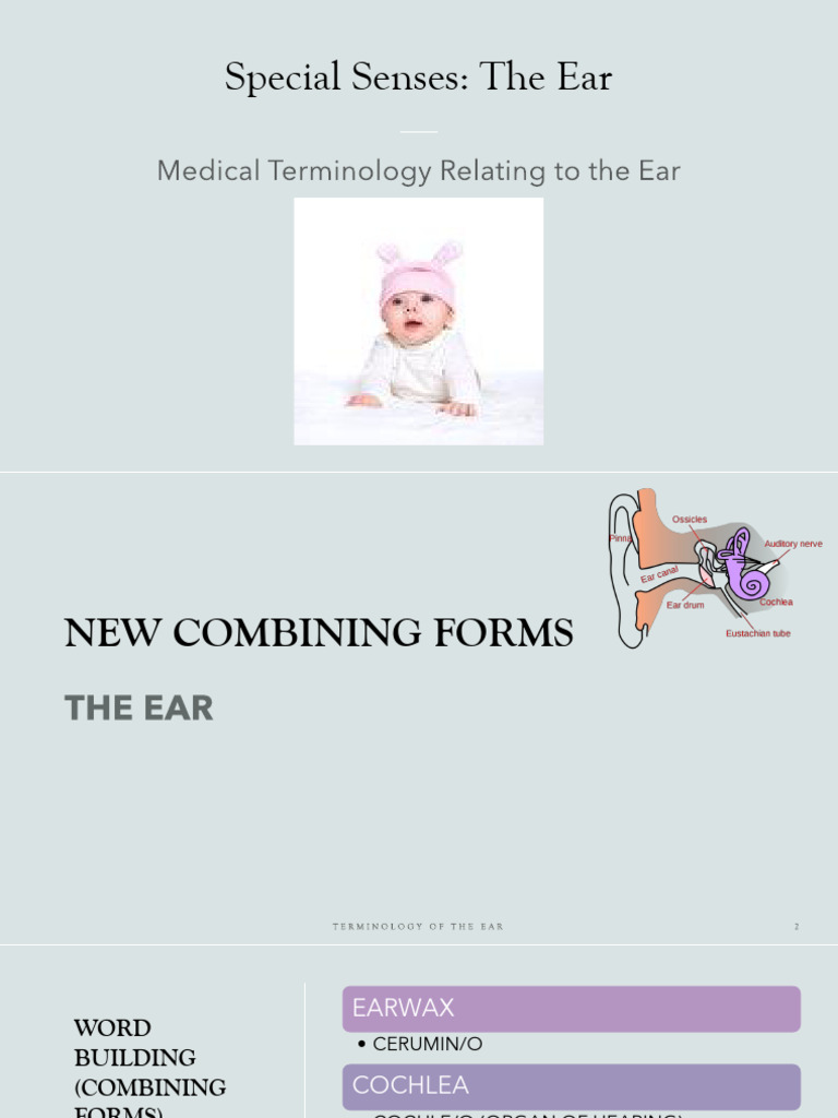 Ear Pain and Treatment Terminology | PDF