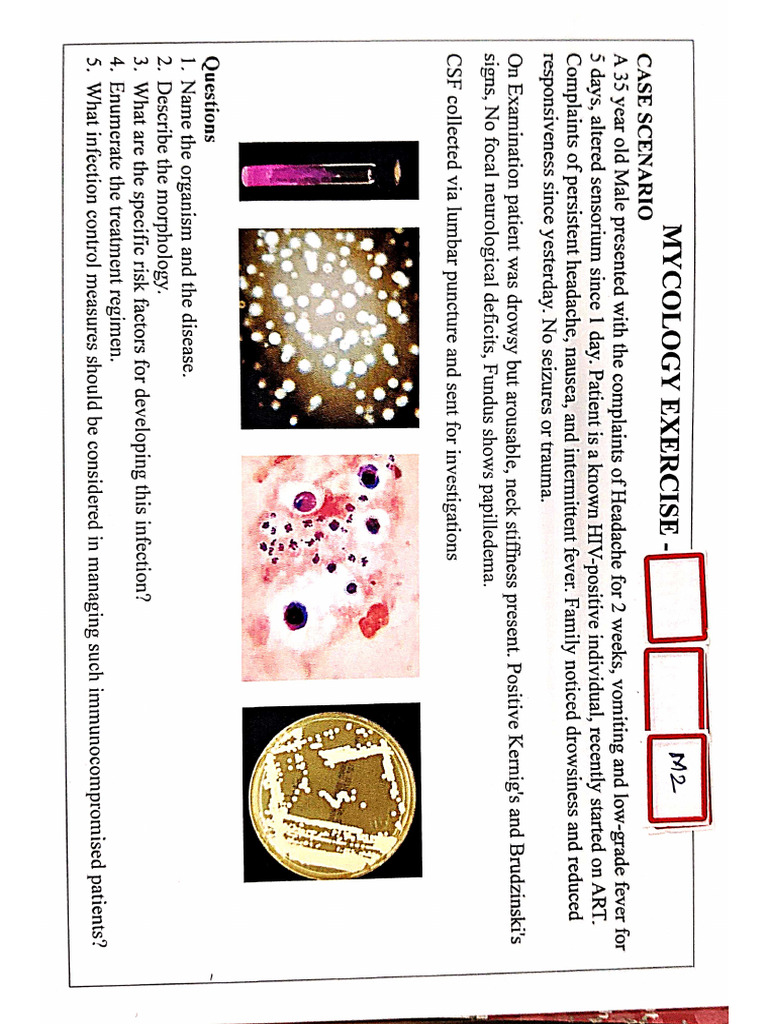 Mycology 250623 174011 | PDF
