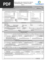 Declaración Jurada RC-01 Personas Físicas | PDF | Science | Tecnología ...