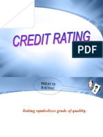 Credit-Rating IFSM