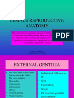 Female Reproductive Anatomy-1