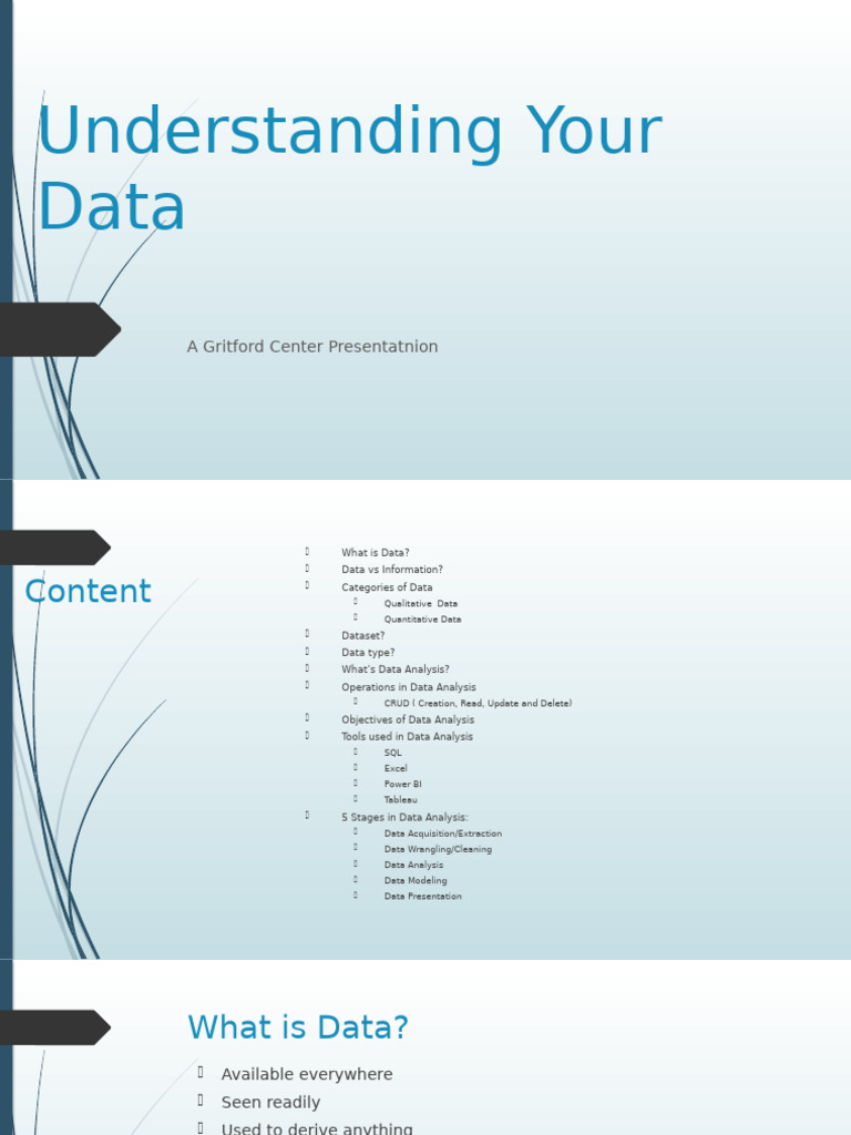 Understanding Your Data | PDF