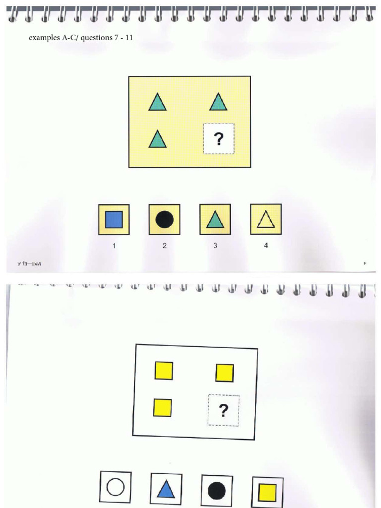WAIS 3 Matrices Examples | PDF